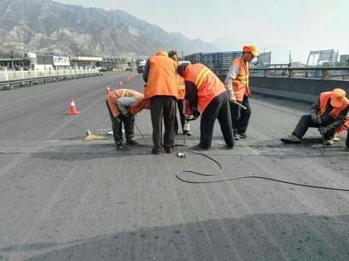 颍上道路桥梁病害治理